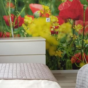 Superior Appartement met een Slaapkamer